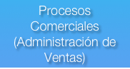 Procesos Comerciales
(Administración de Ventas)