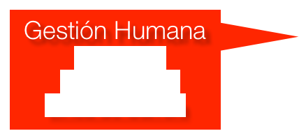 Gestión Humana
Selección
Capacitación
Linea de Carrera